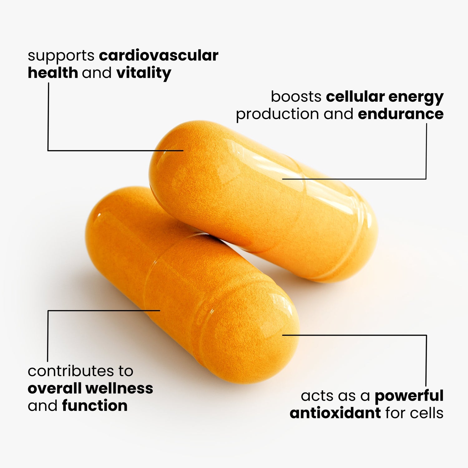 CoQ10 Ubiquinone
