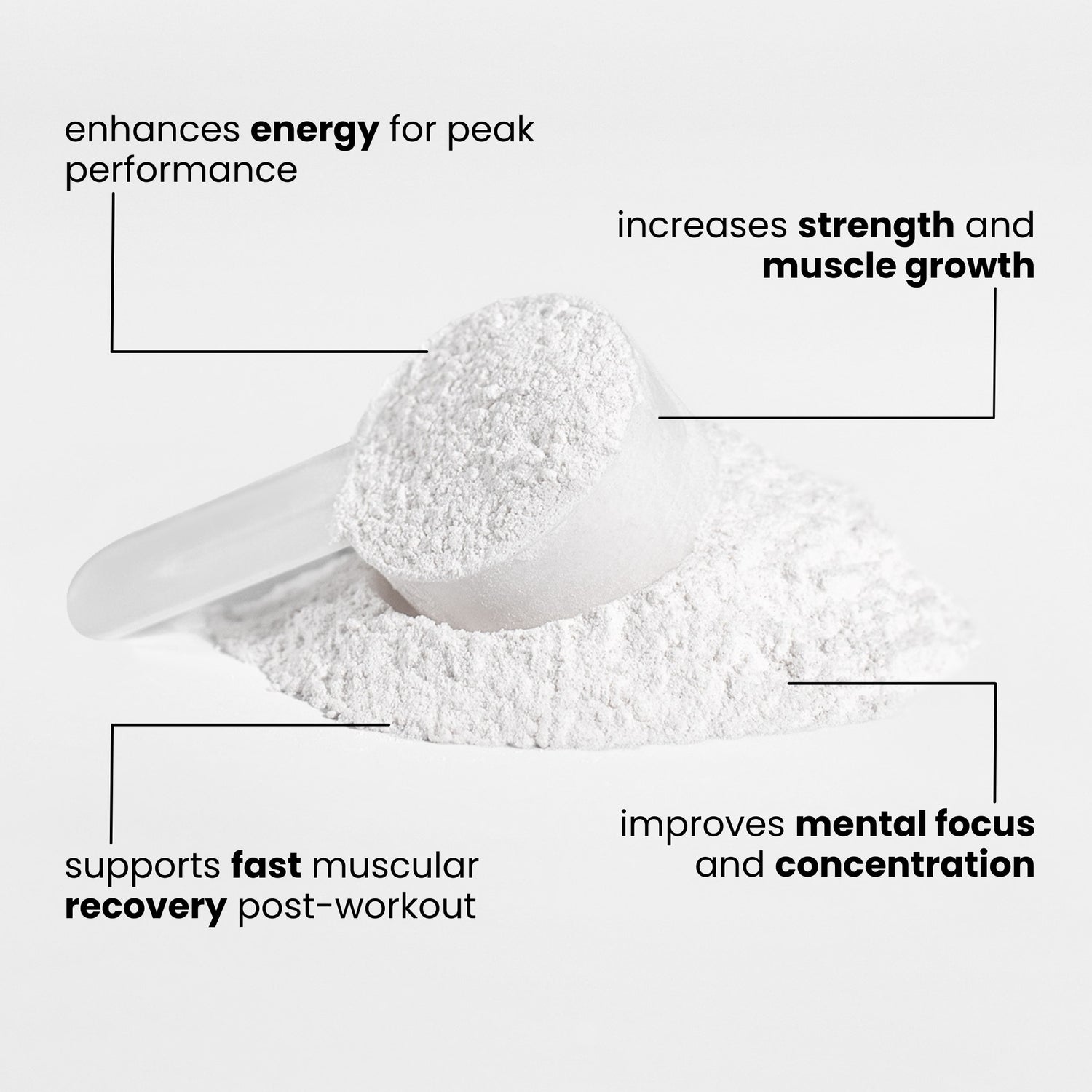 Nitric Shock Pre-Workout Powder (Fruit Punch)