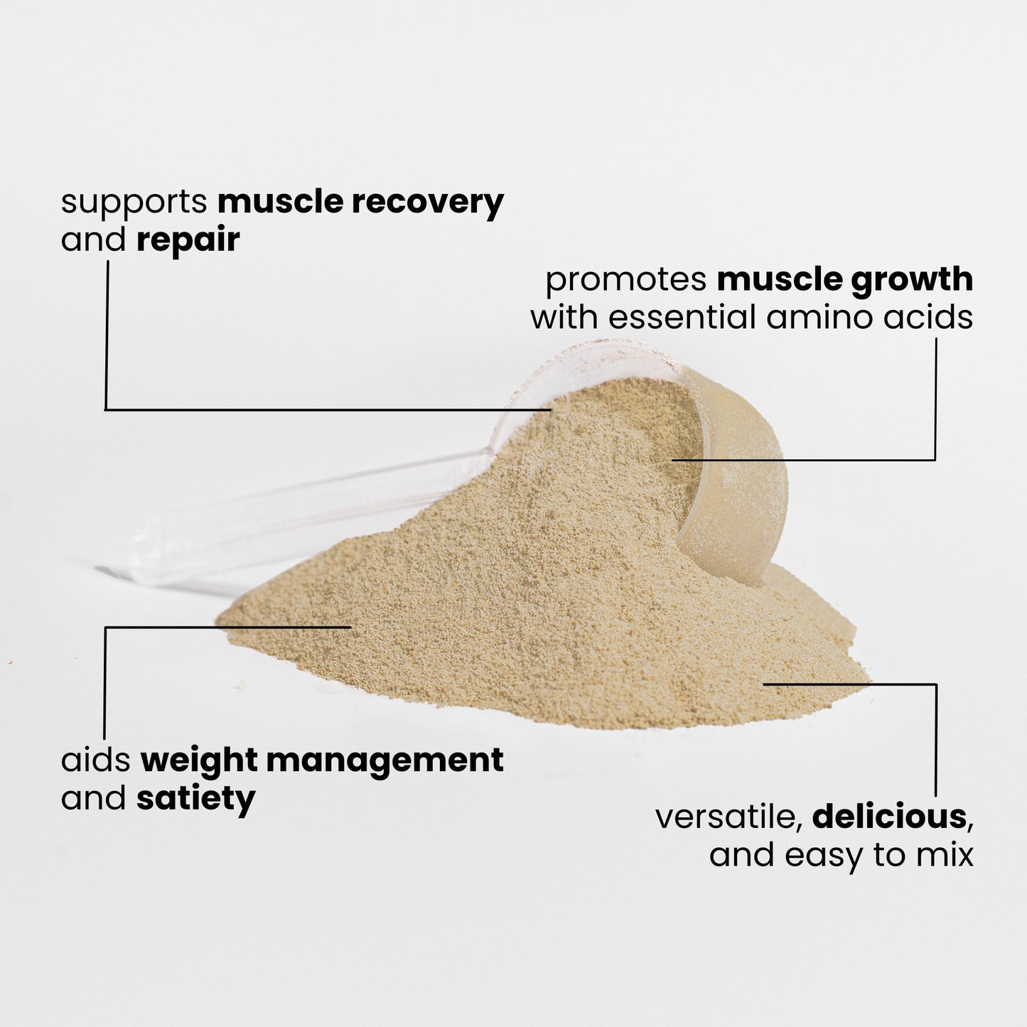 Plant Protein (Vanilla)