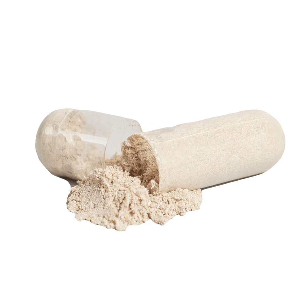 Multivitamin with Immune Support & Antioxidants!