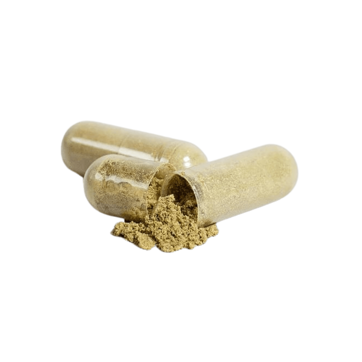 Ginkgo Biloba + Ginseng